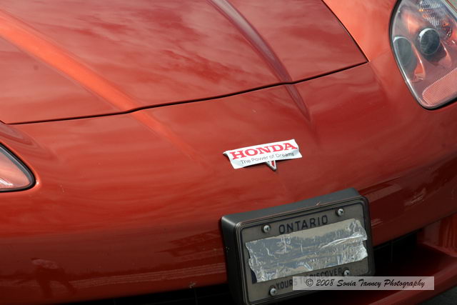 Paddock_2008_06_14_5424a.JPG