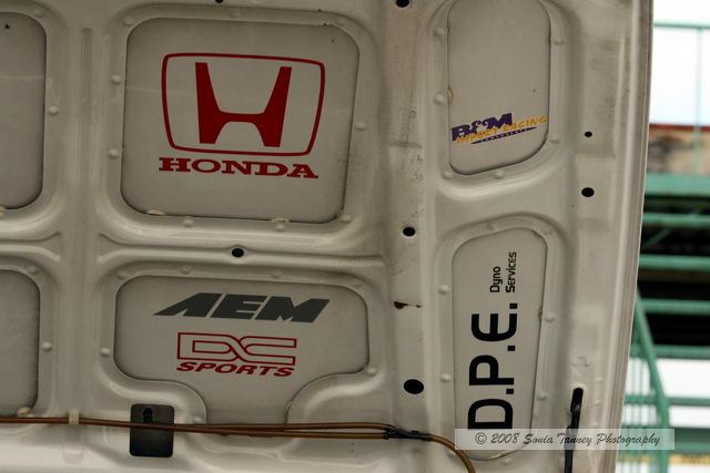 Paddock_2008_09_21_5909-web.jpg