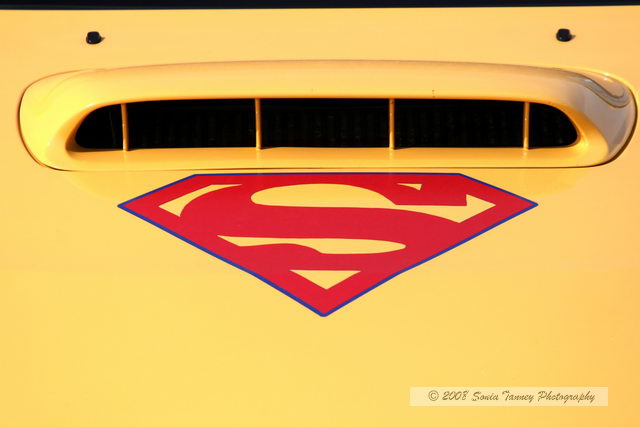 Paddock_2008_09_20_5158-web.jpg