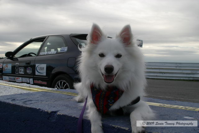Paddock_2009_09_12-SoloSprintEvent7_2525a.JPG