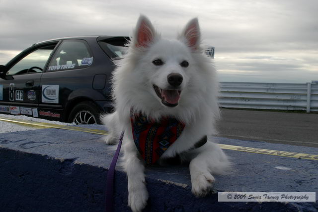 Paddock_2009_09_12-SoloSprintEvent7_2527a.JPG