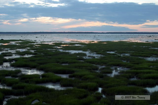 2008_07_30_Rimouski_1077.JPG