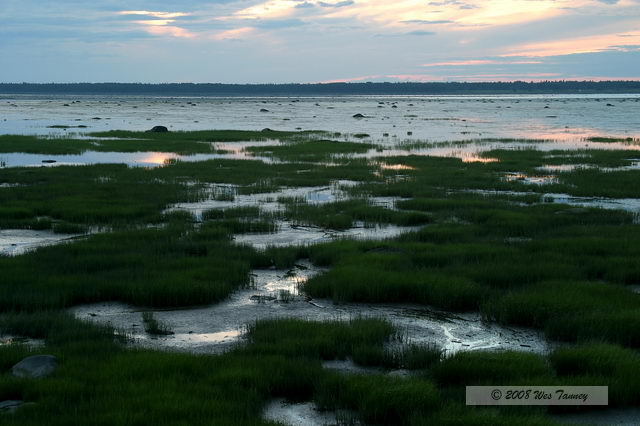 2008_07_30_Rimouski_1081.JPG