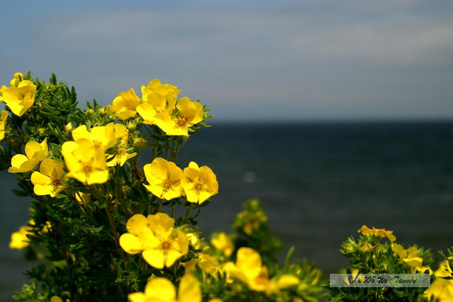 2008_07_31_NewBrunswick_1193.JPG