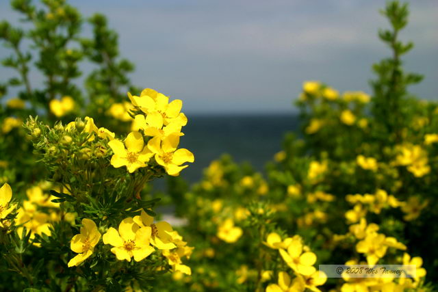 2008_07_31_NewBrunswick_1195.JPG