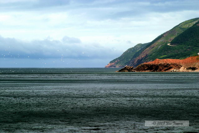 2008_08_04_CabotTrail_1285.JPG