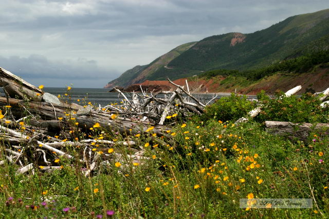 2008_08_04_CabotTrail_1289.JPG