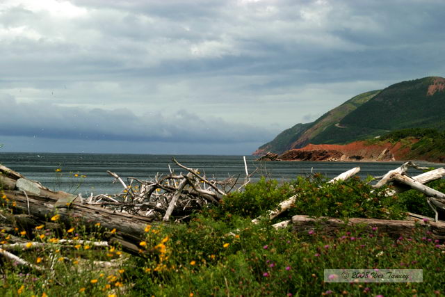 2008_08_04_CabotTrail_1296.JPG