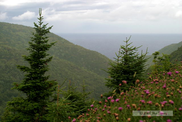 2008_08_04_CabotTrail_1325.JPG