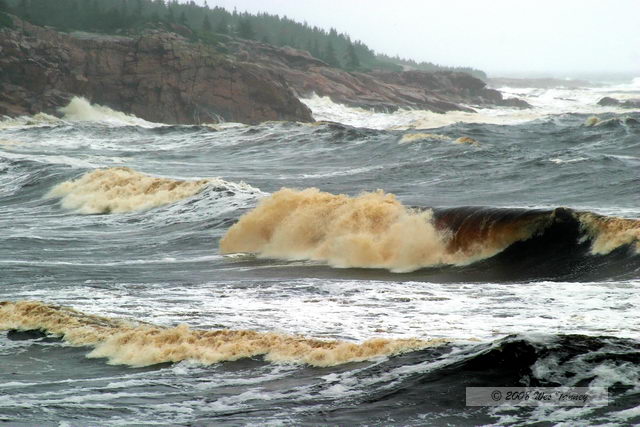 2008_08_04_CabotTrail_1464.JPG