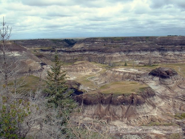 2005_08_18-Drumheller-0003a.jpg