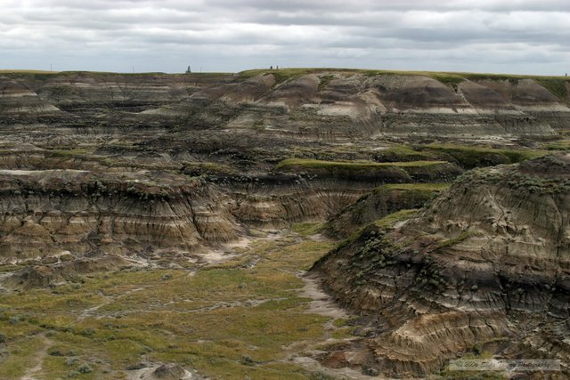 2005_08_18-Drumheller-7182a.jpg