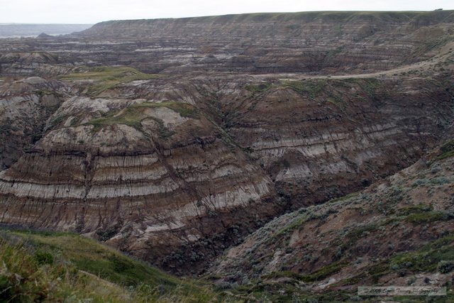 2005_08_18-Drumheller-7241a.jpg