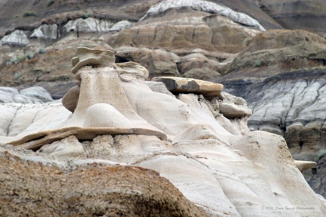 2005_08_18-Drumheller-7276a.jpg