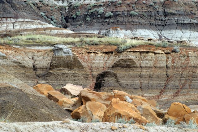 2005_08_18-Drumheller-7298a.jpg