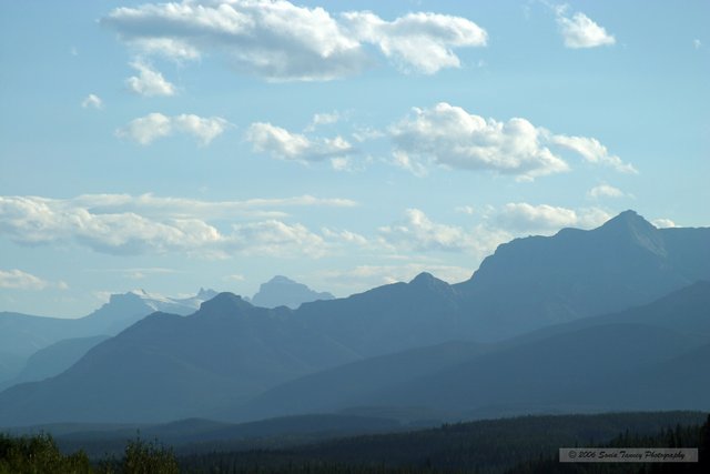 2005_08_21-Rockies-0352a.jpg