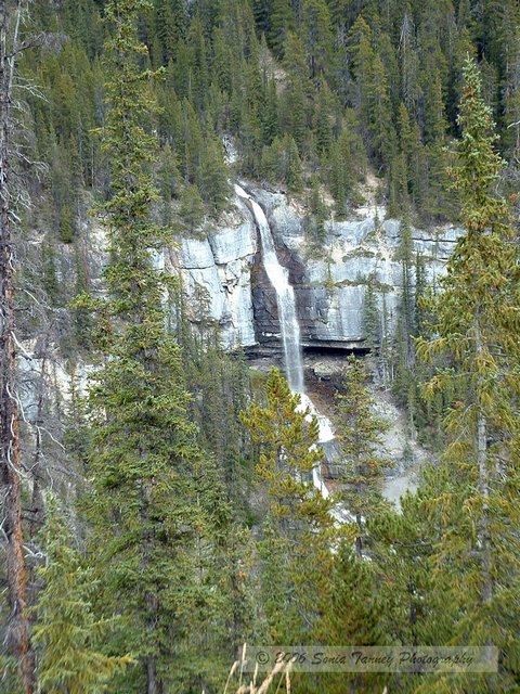 2005_08_22-Rockies-0029a.jpg