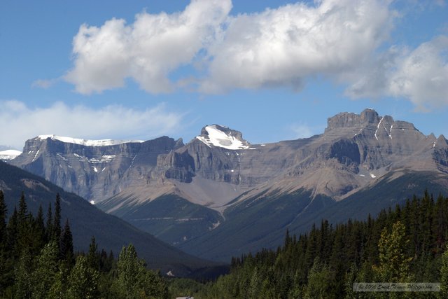 2005_08_22-Rockies-9544a.jpg