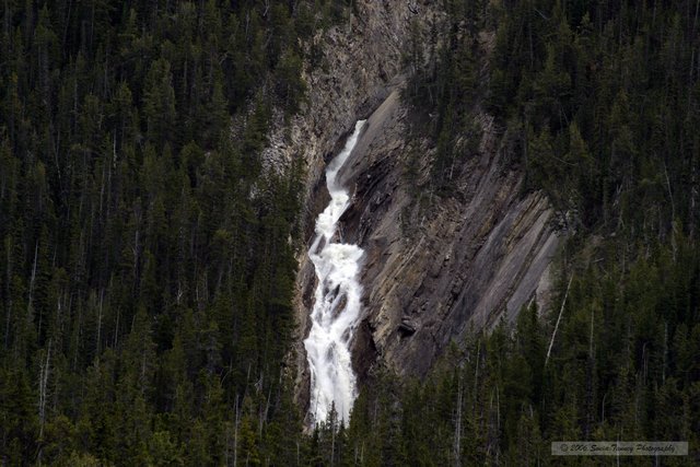 2005_08_22-Rockies-9719a.jpg