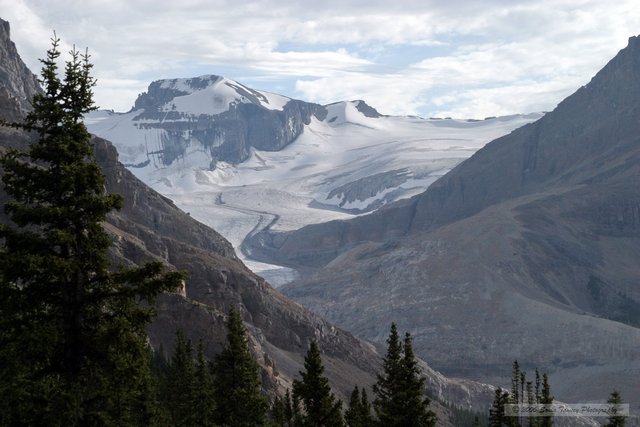 2005_08_22-Rockies-9821a.jpg