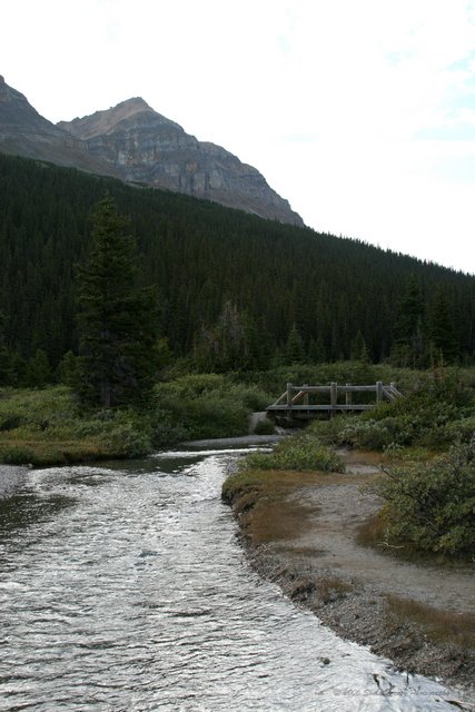 2005_08_22-Rockies-9833a.jpg