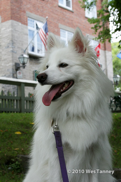 2010-08-10-QuebecCity-Wes-5243-web.jpg