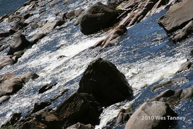 2010-08-11-QuebecFalls-Wes-5434-web.jpg