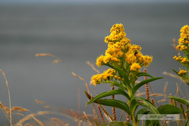 2008_08_04_CabotTrail_1590.JPG