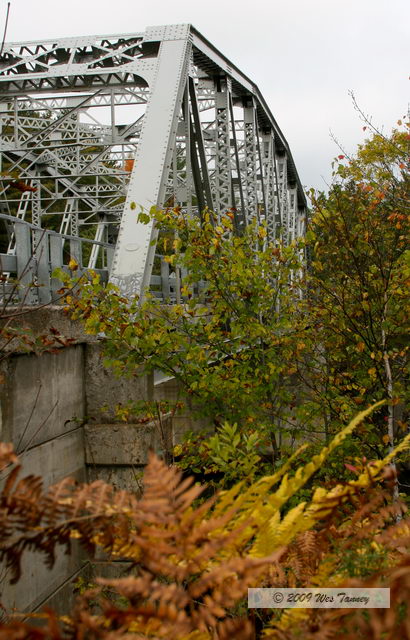 2009_10_04-AlgonquinPark_2391-web.jpg