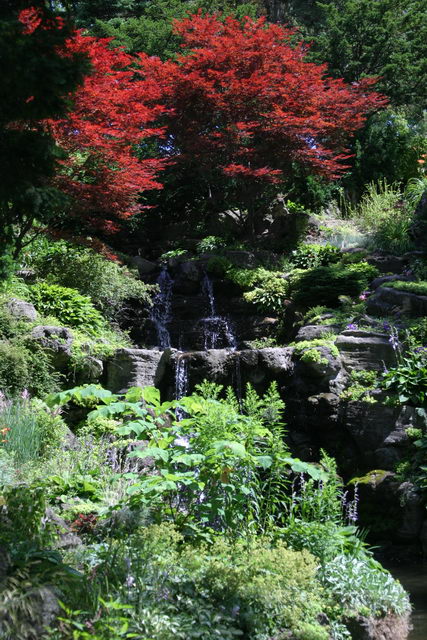 2007_07_15 - High Park Toronto_5453.JPG