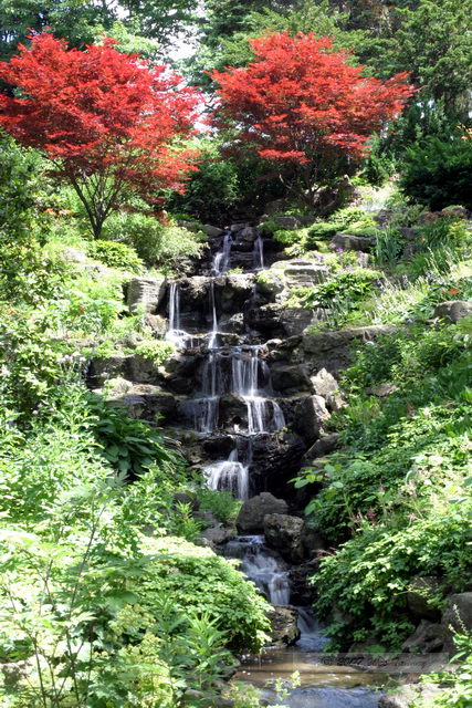 2007_07_15 - High Park Toronto_5470.JPG