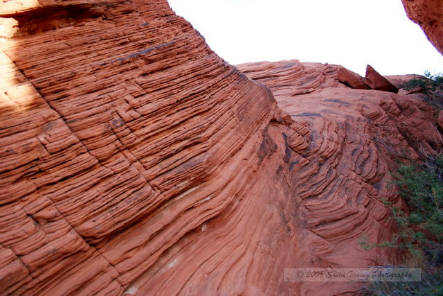 2007_11_25-ValleyOfFire-0864a-web.JPG