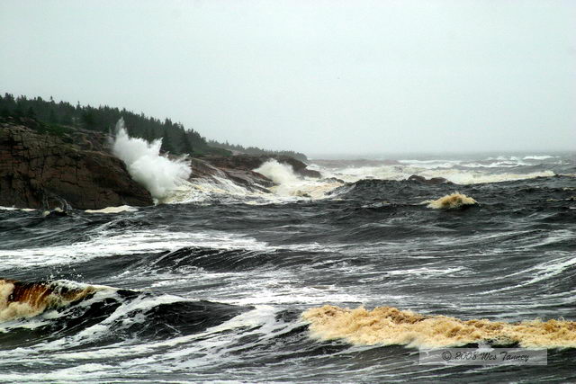 2008_08_04_CabotTrail_1421.JPG