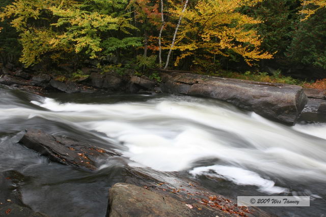 2009_10_03-AlgonquinPark_1889-web.jpg