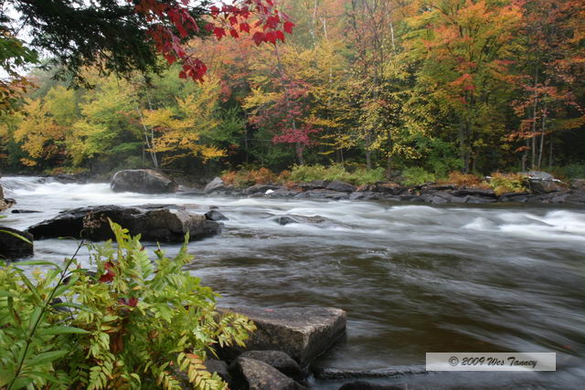 2009_10_03-AlgonquinPark_1911-web.jpg