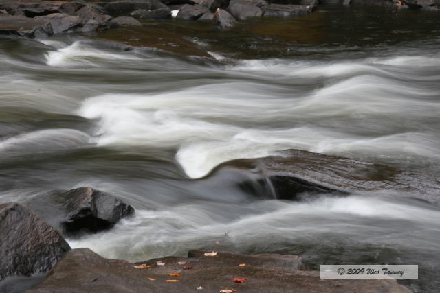 2009_10_03-AlgonquinPark_1922-web.jpg