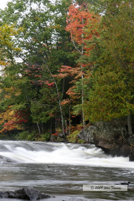 2009_10_03-AlgonquinPark_1926a.JPG