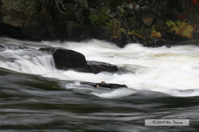 2009_10_03-AlgonquinPark_1944-web.jpg