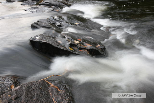 2009_10_03-AlgonquinPark_1960-web.jpg