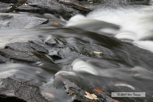 2009_10_03-AlgonquinPark_1963-web.jpg