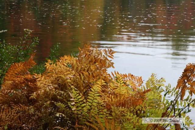 2009_10_03-AlgonquinPark_1980-web.jpg