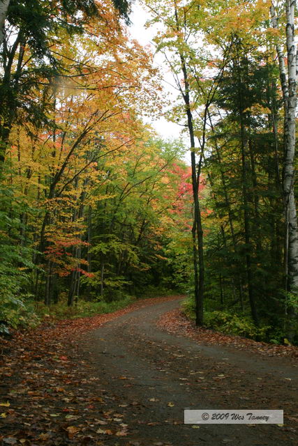 2009_10_03-AlgonquinPark_1996-web.JPG