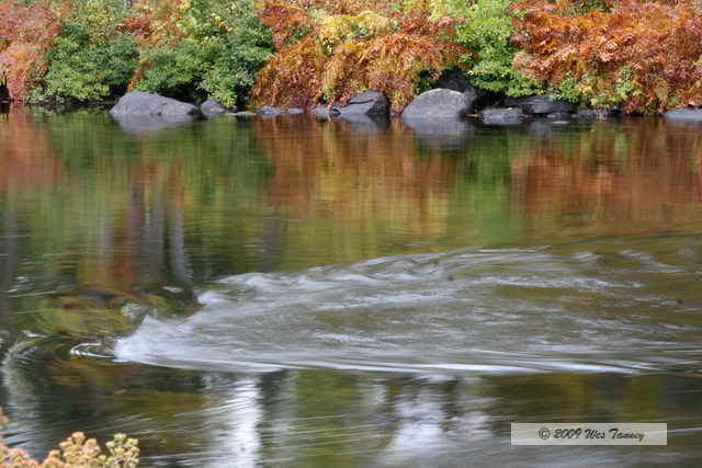 2009_10_03-AlgonquinPark_2043-web.jpg