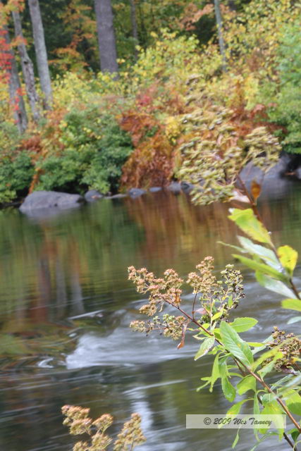 2009_10_03-AlgonquinPark_2049-web.JPG