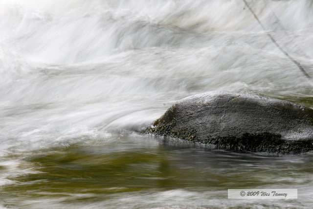 2009_10_03-AlgonquinPark_2085-web.jpg