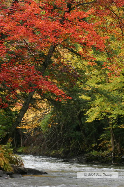 2009_10_03-AlgonquinPark_2099-web.JPG