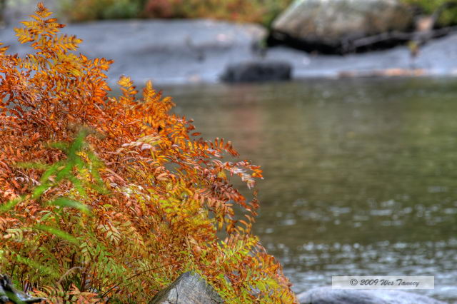 2009_10_03-AlgonquinPark_2108_6_7-web.jpg