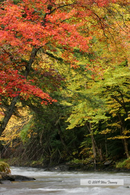 2009_10_03-AlgonquinPark_2113-web.JPG