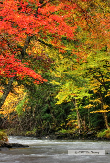 2009_10_03-AlgonquinPark_2116_4_5-web.jpg