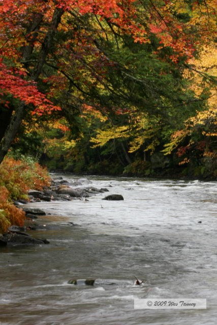 2009_10_03-AlgonquinPark_2134-web.JPG